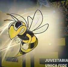 AZ Picerno-Juve Stabia 0-2, i rossoblu non compiono l'impresa 