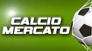 Potenza, ecco quando inizierà ufficialmente il calciomercato dei rossoblù
