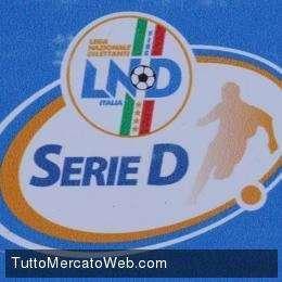 Le modalità dei ripescaggi in serie D...