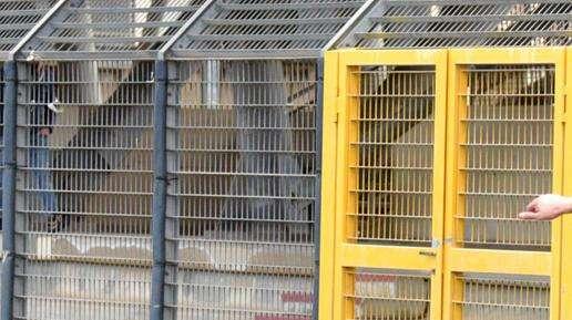 Taranto, Ancora: "Non abbiamo da invidiare nulla a nessuno, tanto meno al Potenza".