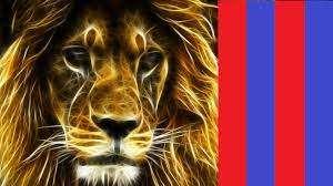 FORZA POTENZA "LA NOTTATA" PASSERA'!