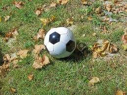 Anche il Potenza si è iscritto alla "caccia" alla Reggina.