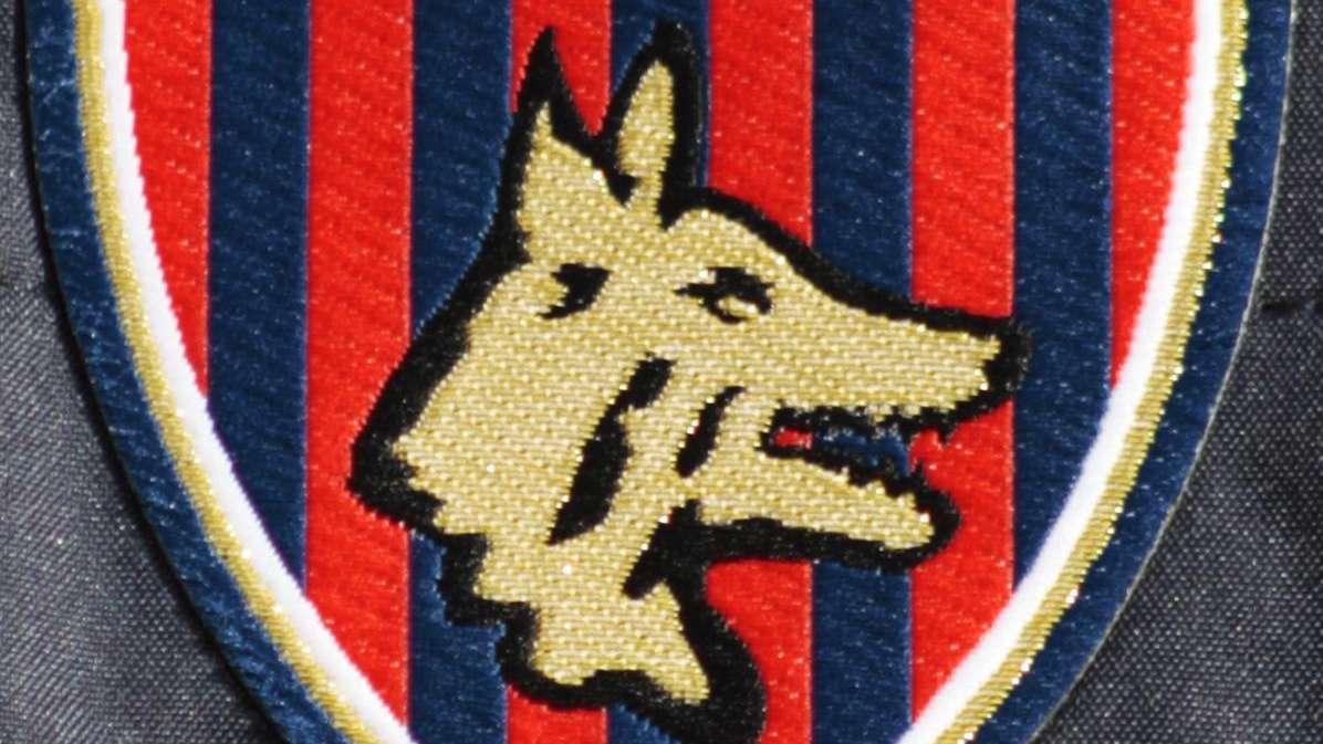 Il TAR del Lazio respinge il ricorso, ora il Cosenza vede il baratro della Serie C