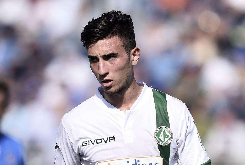 Potenza, ecco perché l'attaccante rossoblù Asencio non ha giocato contro il Benevento