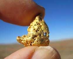 La pepita d'oro...