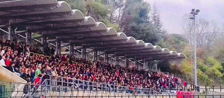 Il pubblico del 'D. Curcio'