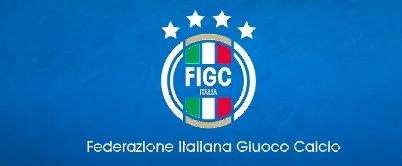Tribunale Federale Nazionale, ecco le motivazioni dell'esclusione della Turris