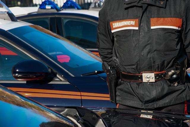 Carabinieri, controllo del territorio: denunce, sequestri e due arresti