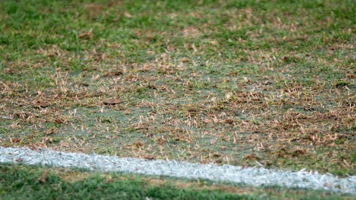 Bando "Sport e Periferie", diamo qualche numero 