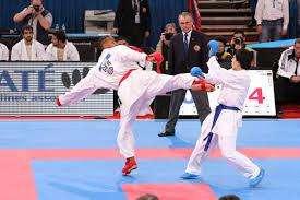 Lo Shintaikan Karate Club di Potenza fa bella figura nell'open di Toscana alla Celadrin Cup...