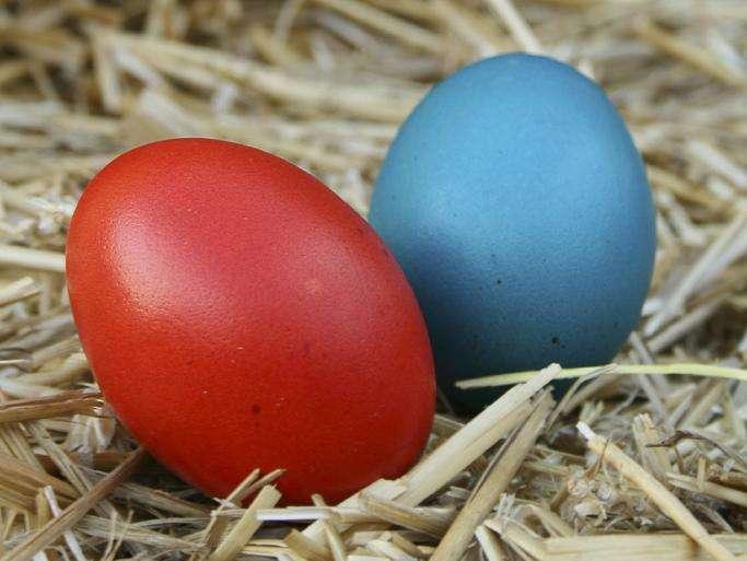 Buona Pasqua rosso-blu!