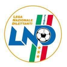 Serie D: dieci giorni di tempo per chi non ha presentato la documentazione completa.