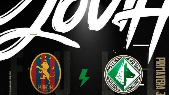 Primavera 3, un ottimo Potenza batte per 2 a 0 l'Avellino