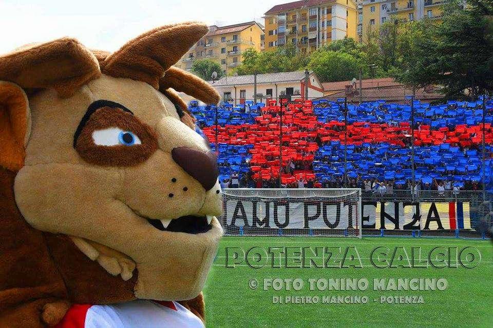 Foto Mancino