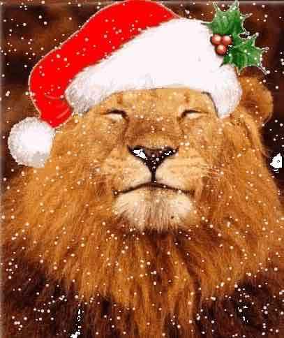BUON NATALE DA TUTTOPOTENZA.COM!