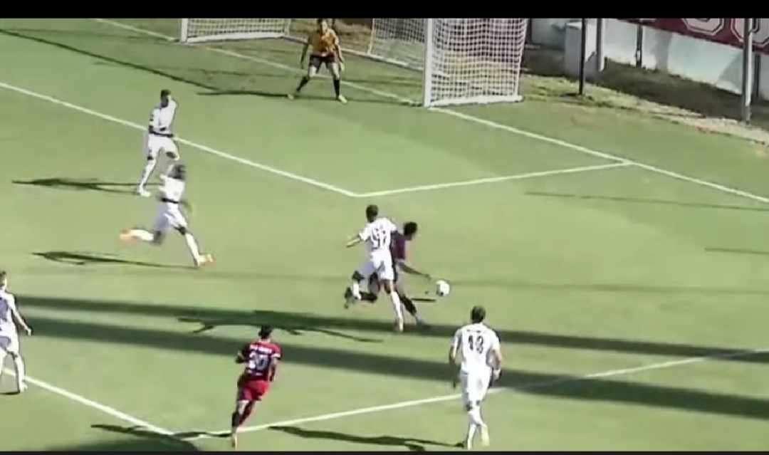 Reggina-Acireale, la moviola: contatto in area Vesprini-Blaze, la ricostruzione