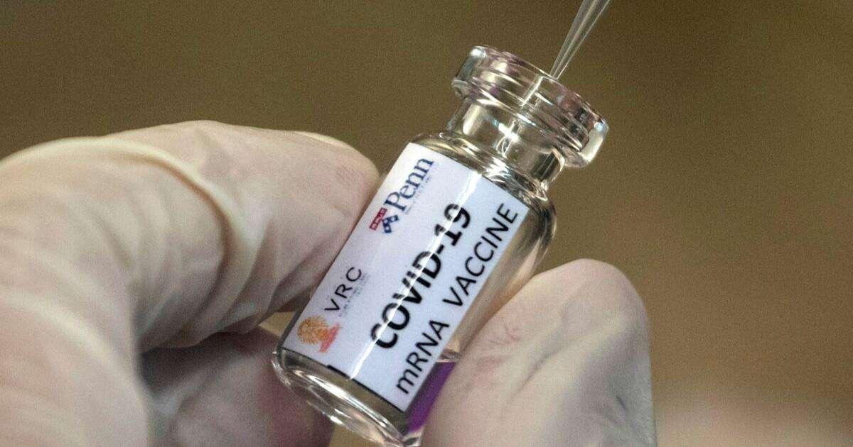 Vaccino contro il Covid, l'annuncio di Pfizer: "Efficace al 90%"