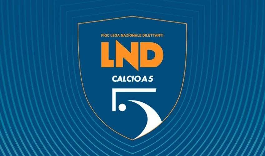 C5, la Polisportiva Futura ripescata in A2: il nuovo girone D