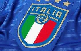 Consiglio Federale FIGC: cosa decide e da chi è composto, tutti i dettagli