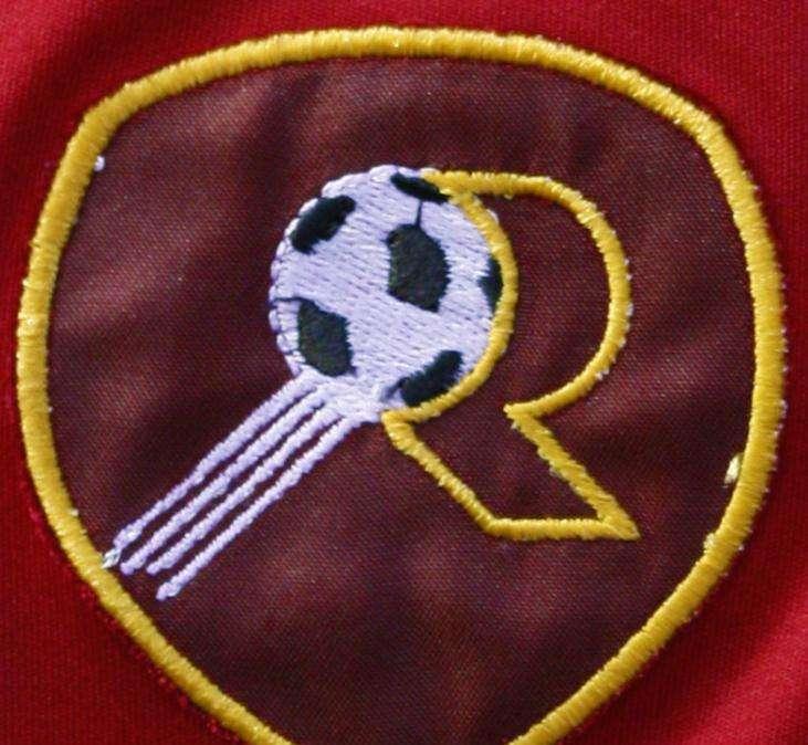 REGGINA IN D - La stangata del TFN: il dispositivo completo della penalizzazione odierna