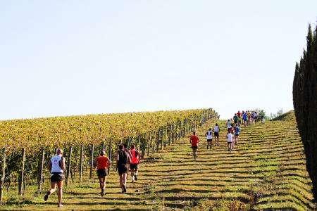 Si pensa già alla prossima EcoMaratona del Chianti Classico e quest'anno pure con Giorgio Calcaterra