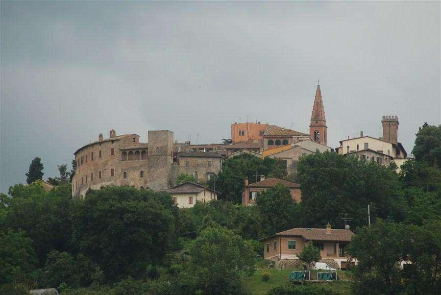 In Umbria domenica c'è la "Collepepissima", la "Corsa del fango" per per scoprire la bellezza della campagna 