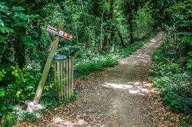Domenica 15 novembre sarà il giorno del "Camaldolesi Autumn Trail"