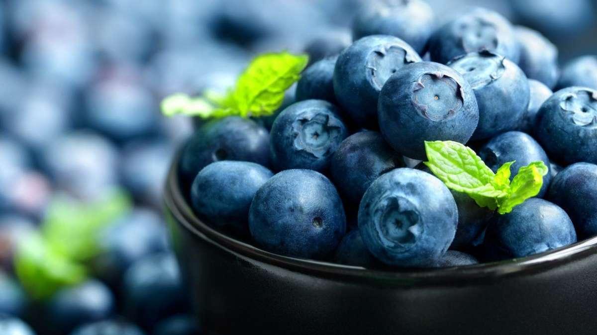 Chi corre e cerca benefici nell'alimentazione deve mangiare per forza i mirtilli: ecco perchè