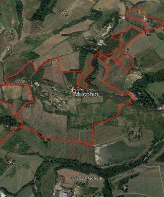 Il primo maggio in Emilia Romagna appuntamento con "Il trail dell'Abbazia"