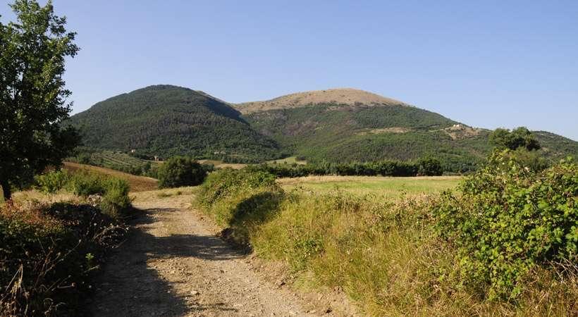 Già programmata la prima "Ecomaratona di Perugia": è in calendario per il 2026
