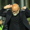 Salernitana, corsa e duttilità per il centrocampo di Cosmi
