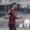 SALERNITANA: quattro anni fa, tanti gol ed emozioni contro l'Aversa Normanna [VIDEO]