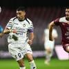 Salernitana, attacco in stand-by: Faggiano studia le mosse, restano vivi diversi obiettivi