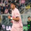 Salernitana, strade in salita per due attaccanti