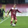 Salernitana, le ultime news sul mercato in uscita