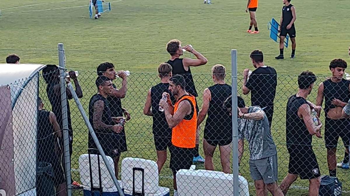 Salernitana, ecco quando riprenderanno gli allenamenti