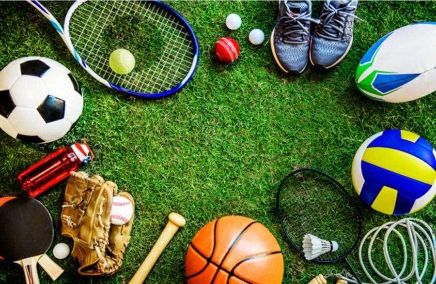Lo sport come diritto e lavoro: orizzonti nazionali e prospettive locali