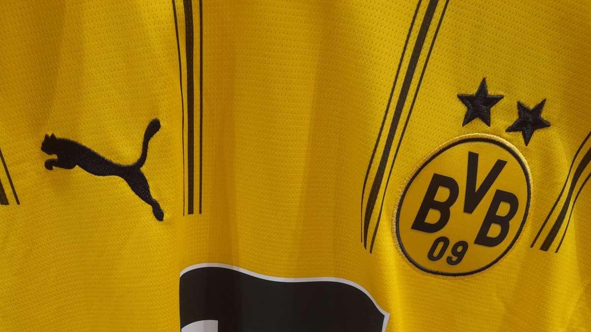 🇮🇹 Borussia Dortmund contro AfD: lo sport non è neutrale / 🇩🇪 Borussia Dortmund gegen AfD: Sport ist nicht neutral