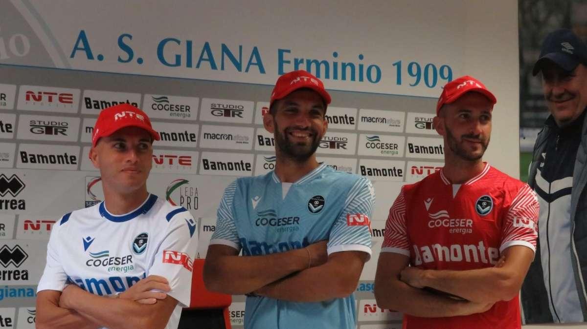 Pinto, Perna e Perico
