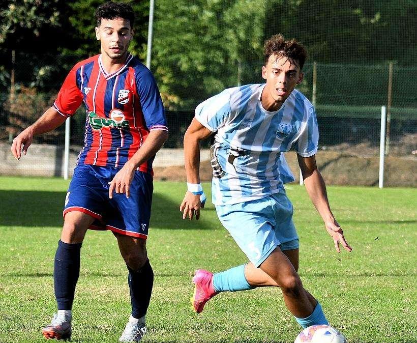 Verga in azione
