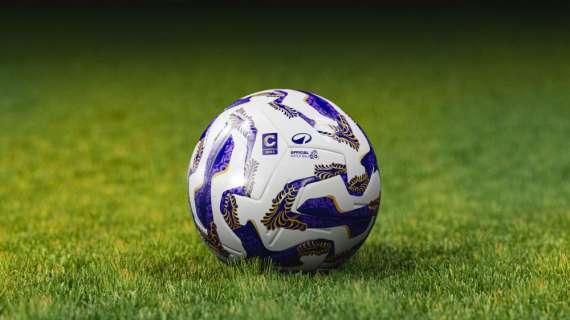 Il pallone ufficiale 