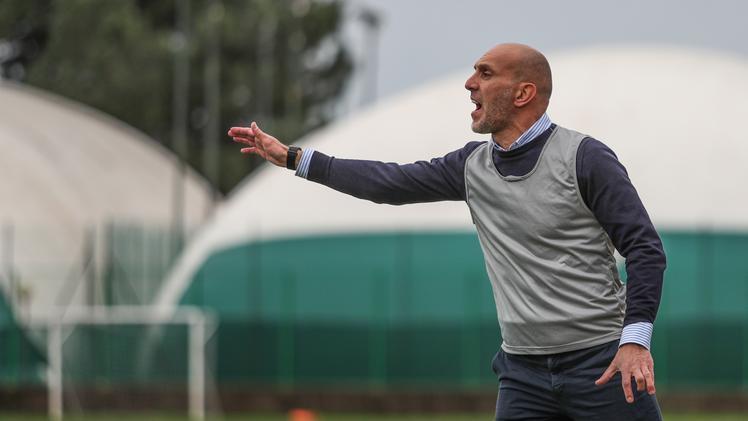 Mister Marco Didu