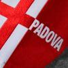 Udinese, sabato sfida al Padova in Coppa Italia. Le curiosità sull'avversario