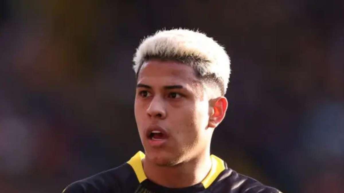 Il Botafogo dell'ex Udinese Martins vince anche il campionato brasiliano oltre alla Libertadores