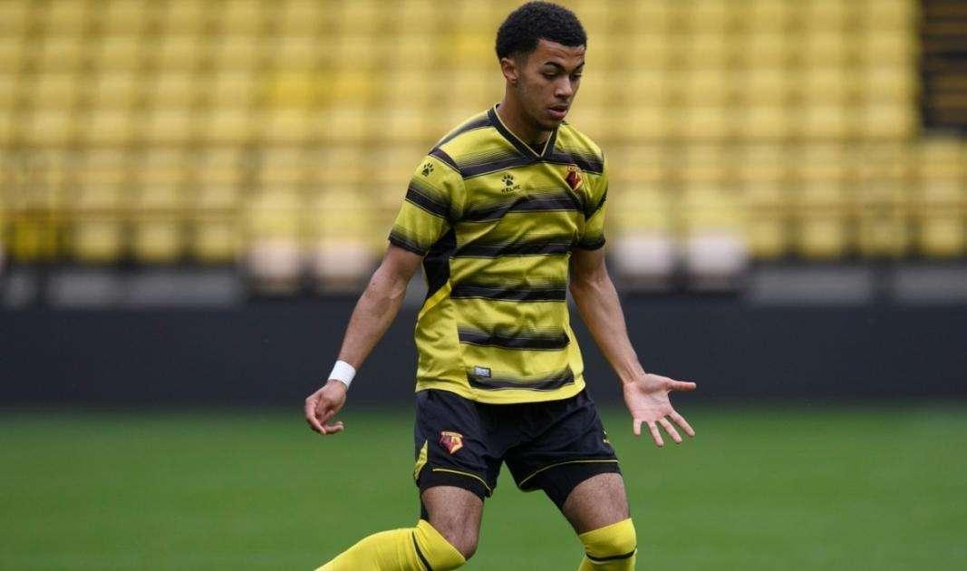 Watford, rinnova il giovane Andrews