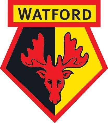 Watford, Deeney decide il match contro il Birmingham