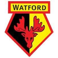 Il Watford continua a vincere!