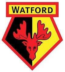Pareggio per il Watford: 2-2 con il Nottingham Forest