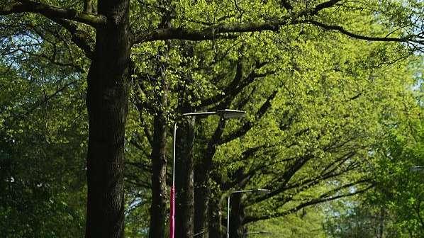 Presentata la tappa friulana del Giro d'Italia: da Fiume Veneto si arriverà ad Asiago