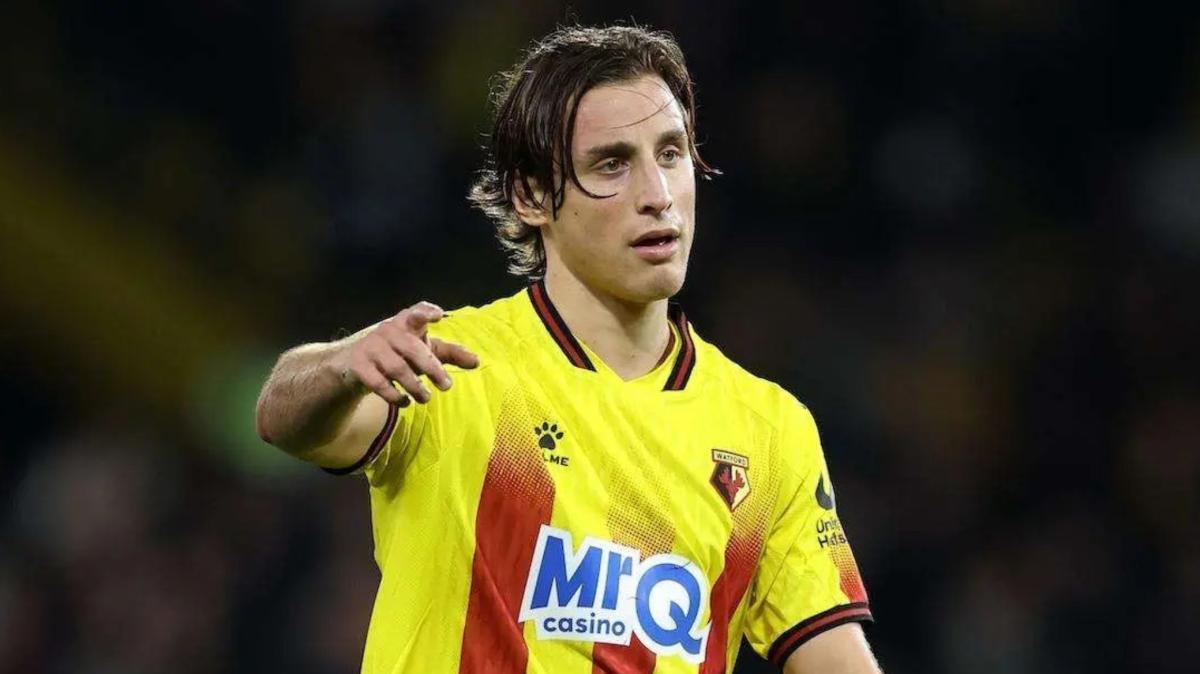Bove con la maglia del Watford